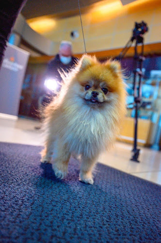 Comentarii opinii despre Bergs Famous Ice Cream