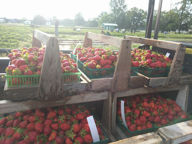 Comentarii opinii despre Millar Berry Farms