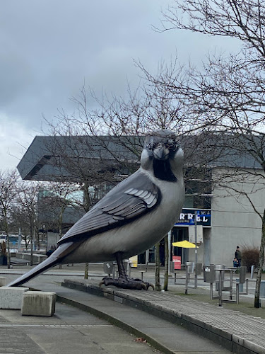 Comentarii opinii despre Tap & Barrel • Olympic Village