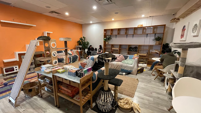 Cat Cafe on Whyte - Hospitality and gastronomy