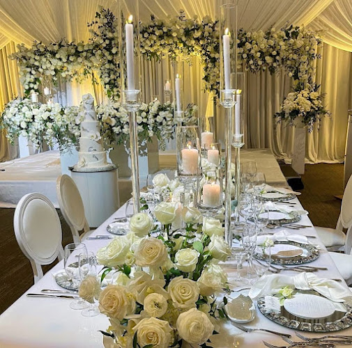 Artsy Baker Thornhill