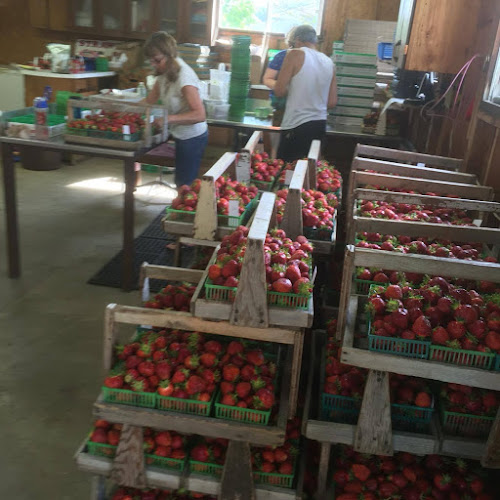 Millar Berry Farms - London