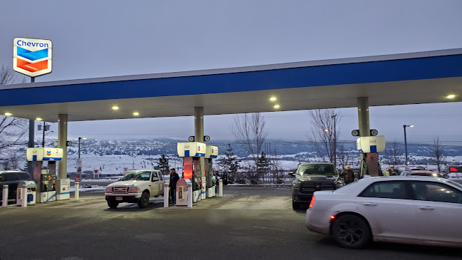 Comentarii opinii despre Triple O's