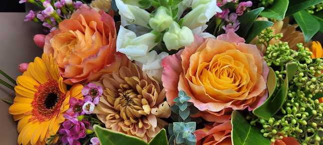 Opinii despre Queens Cross Pub în North Vancouver - Hospitality and gastronomy