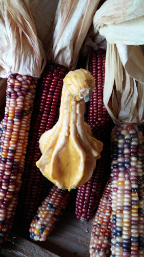 Myers Apple Farm - Hospitality and gastronomy