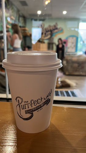 Comentarii opinii despre The Purrfect Cup - A Cat Cafe