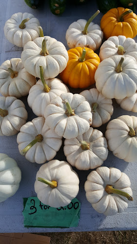 Cedar Farmer's Market - Hospitality and gastronomy