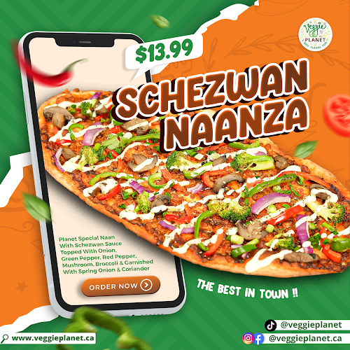 Veggie Planet Vaughan - Vegetarian Indian Pizza, Burger and Street food Restaurant - Hospitality and gastronomy