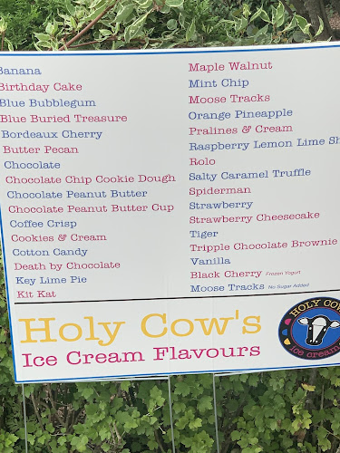 Holy Cows Ice Cream - Hospitality and gastronomy