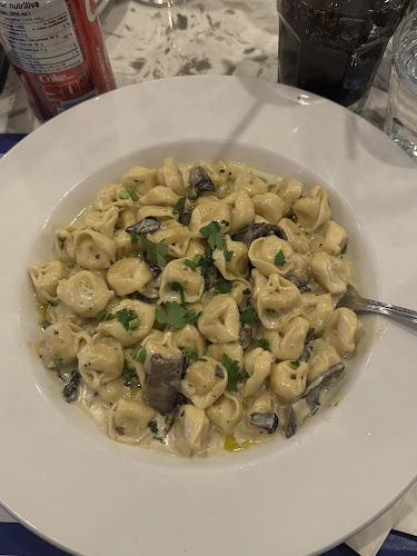 Opinii despre Cafe Diplomatico Restaurant & Pizzeria în Toronto - Hospitality and gastronomy