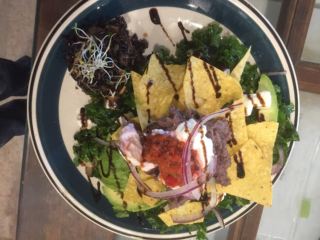 Comentarii opinii despre Healthy Rabbit