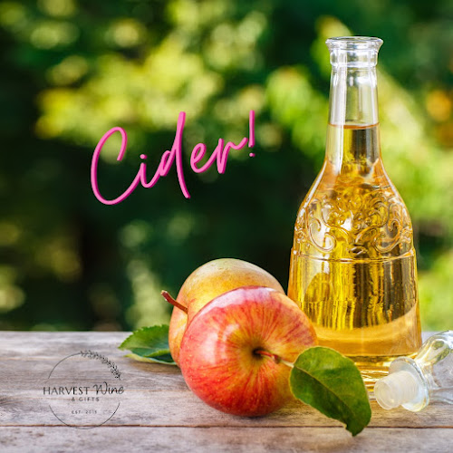 Harvest Wine Outfitters - Hospitality and gastronomy