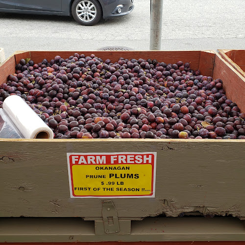 Hamilton Farms - Abbotsford