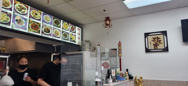 Dragon Gem Chinese Restaurant - Hospitality and gastronomy