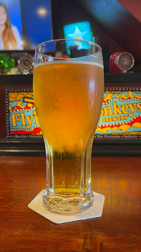 Opinii despre Kilt & Harp Pub în Toronto - Hospitality and gastronomy