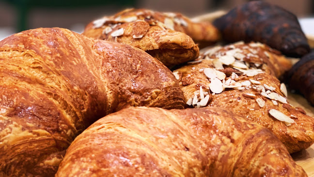 Comentarii opinii despre Sip Of Life