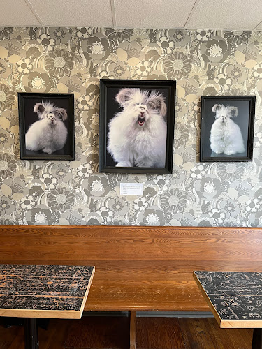 Comentarii opinii despre Healthy Rabbit