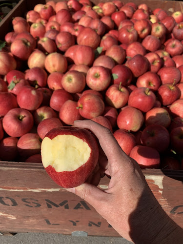 568 Lynden Rd, Lynden, ON L0R 1T0