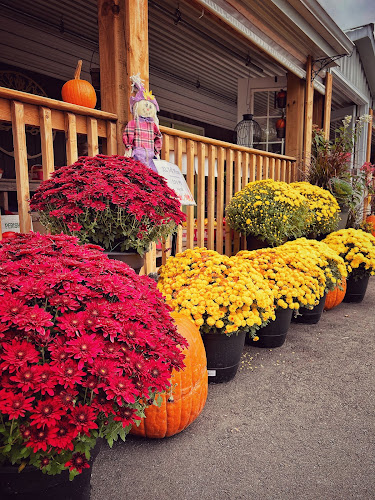 Comentarii opinii despre Josmar Acres