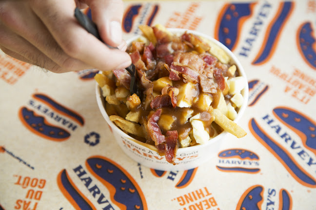 University of Saskatchewan, Saskatoon, SK S7N 5A3