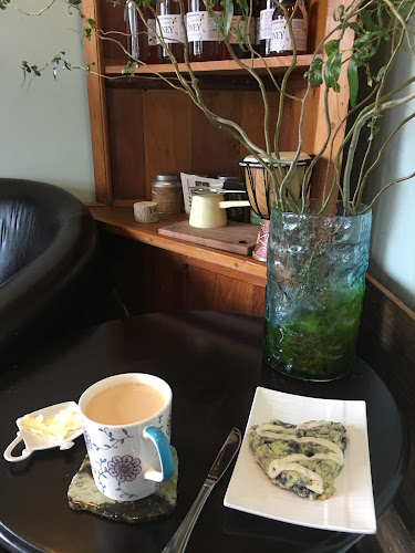 Comentarii opinii despre Shady Grove ~Lukaya Cafe~