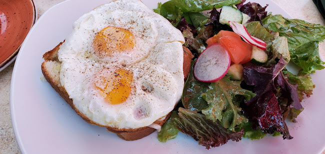 Comentarii opinii despre The Apricot Tree Cafe