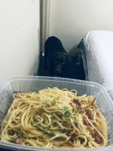 Comentarii opinii despre Bravo Cucina Ristorante