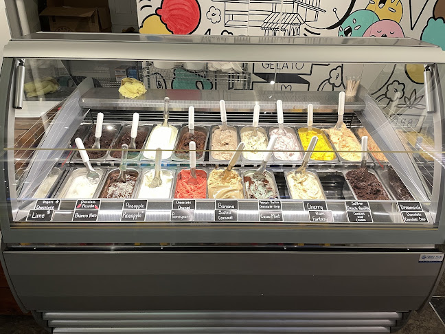 Opinii despre Piccolo Grande Artisan Gelateria în Ottawa - Hospitality and gastronomy