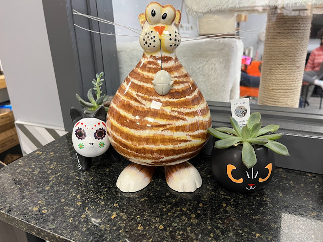 Opinii despre Alley Cat Cat Cafe în Stratford - Hospitality and gastronomy