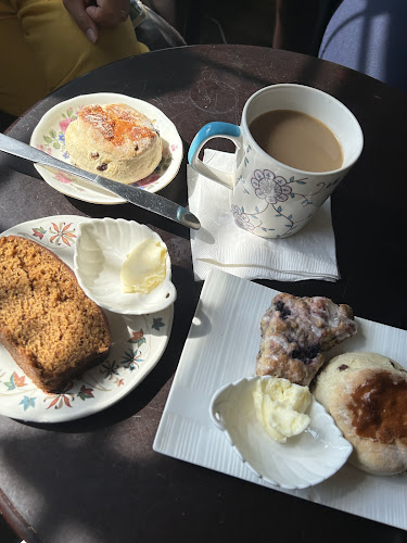 Shady Grove ~Lukaya Cafe~ - Hospitality and gastronomy