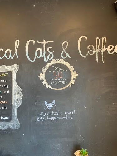 Cat Cafe on Whyte - Hospitality and gastronomy