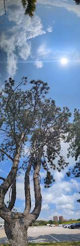 Opinii despre Cocobellas Cafe & Catering în Mississauga - Hospitality and gastronomy