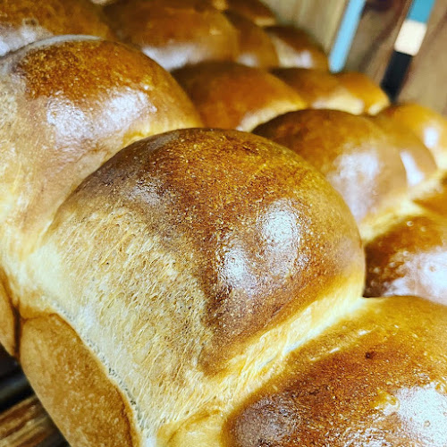 134 Military Rd, St. John's, NL A1C 2E5