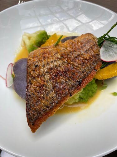 Comentarii opinii despre Sassafraz