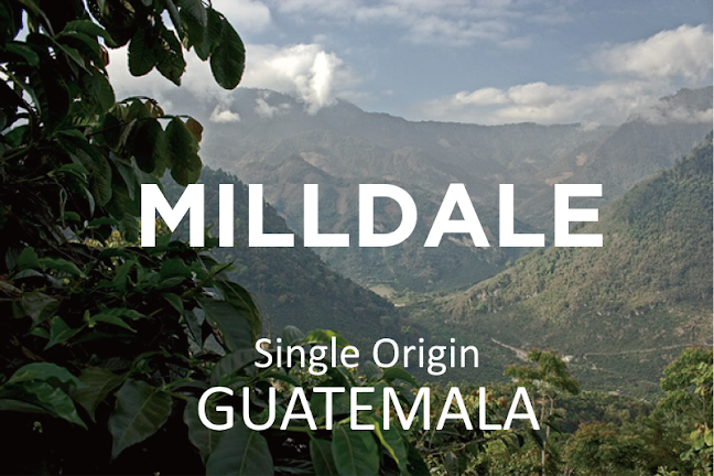 Comentarii opinii despre Country Road Coffee Roastery