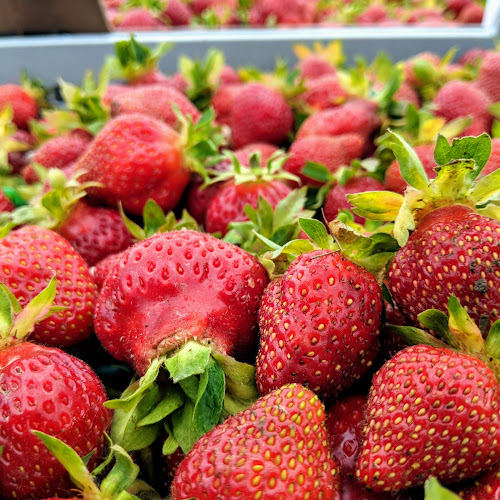 7375 Longwoods Rd, London, ON N6P 1L2