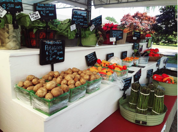 Hildreth Farm Market - Hospitality and gastronomy