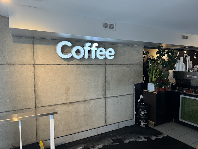 538 Rochester St, Ottawa, ON K1S 4M1