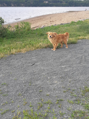 Opinii despre Captain's Galley Restaurant în Miramichi - Hospitality and gastronomy