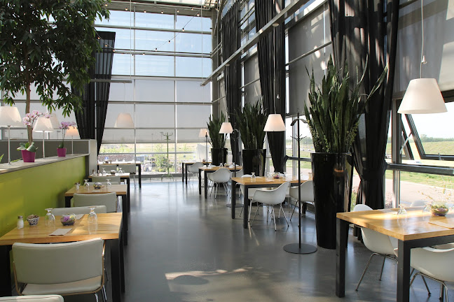 Glasshouse Kitchen|Bar - St. Albert