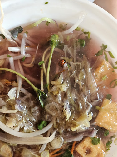 Hanoi 36 Restaurant - Hospitality and gastronomy