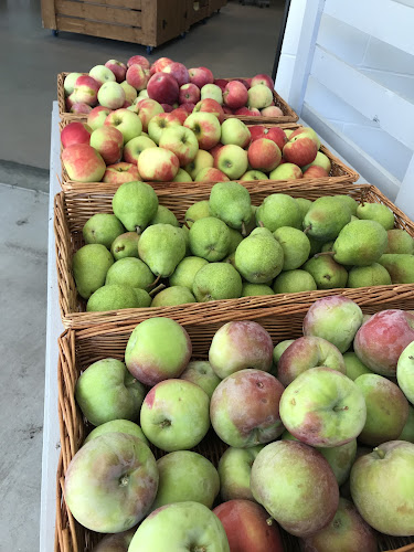 23823 72 Ave, Langley Twp, BC V1M 3K9