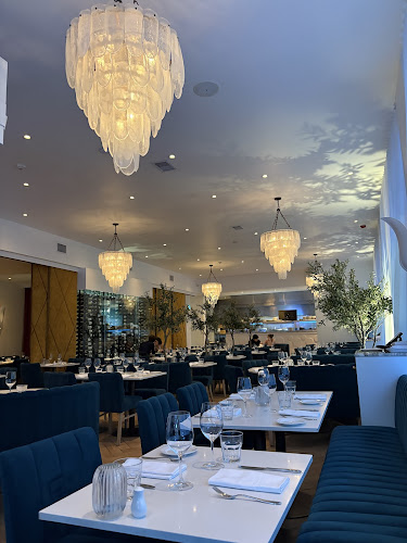 Comentarii opinii despre Carisma