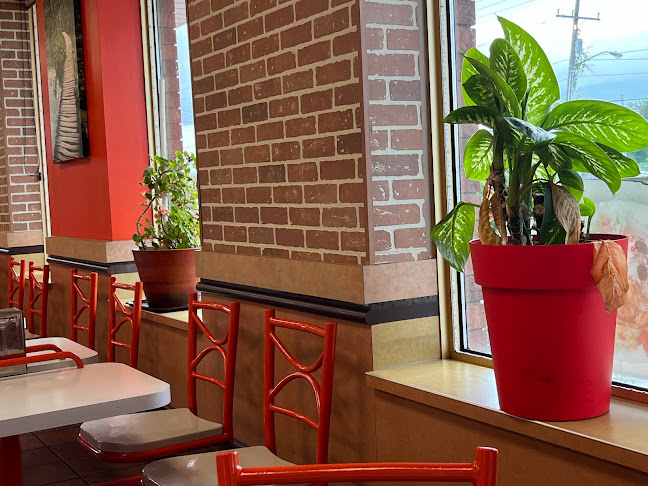 Shawarma Time and Grill - Hospitality and gastronomy