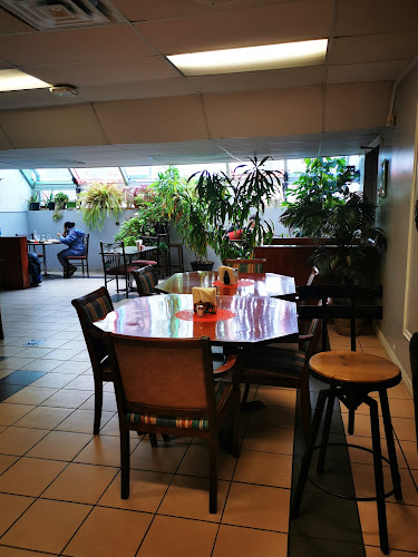 225 Wyandotte St W, Windsor, ON N9A 5X1