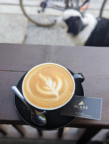 Comentarii opinii despre Blaze Gourmet Burgers | Dine-in Takeout and Catering