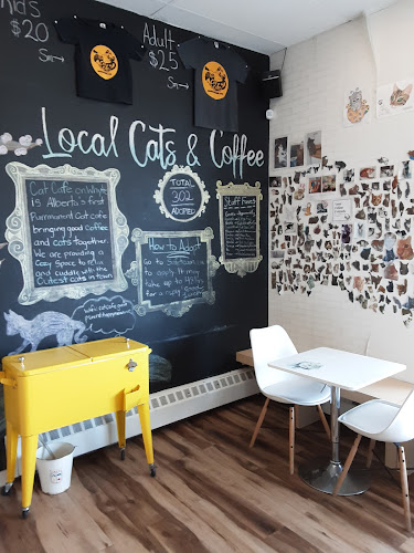 Cat Cafe on Whyte