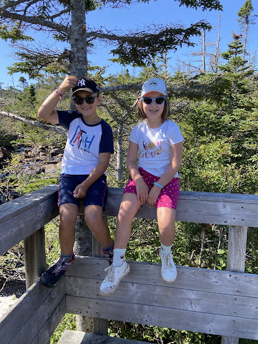 345 Duckworth St, St. John's, NL A1C 1H5