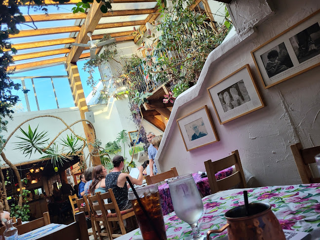 Comentarii opinii despre Theo’s Restaurant