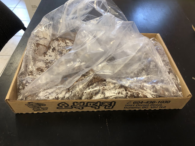 5691 Dorset St, Burnaby, BC V5J 4R3